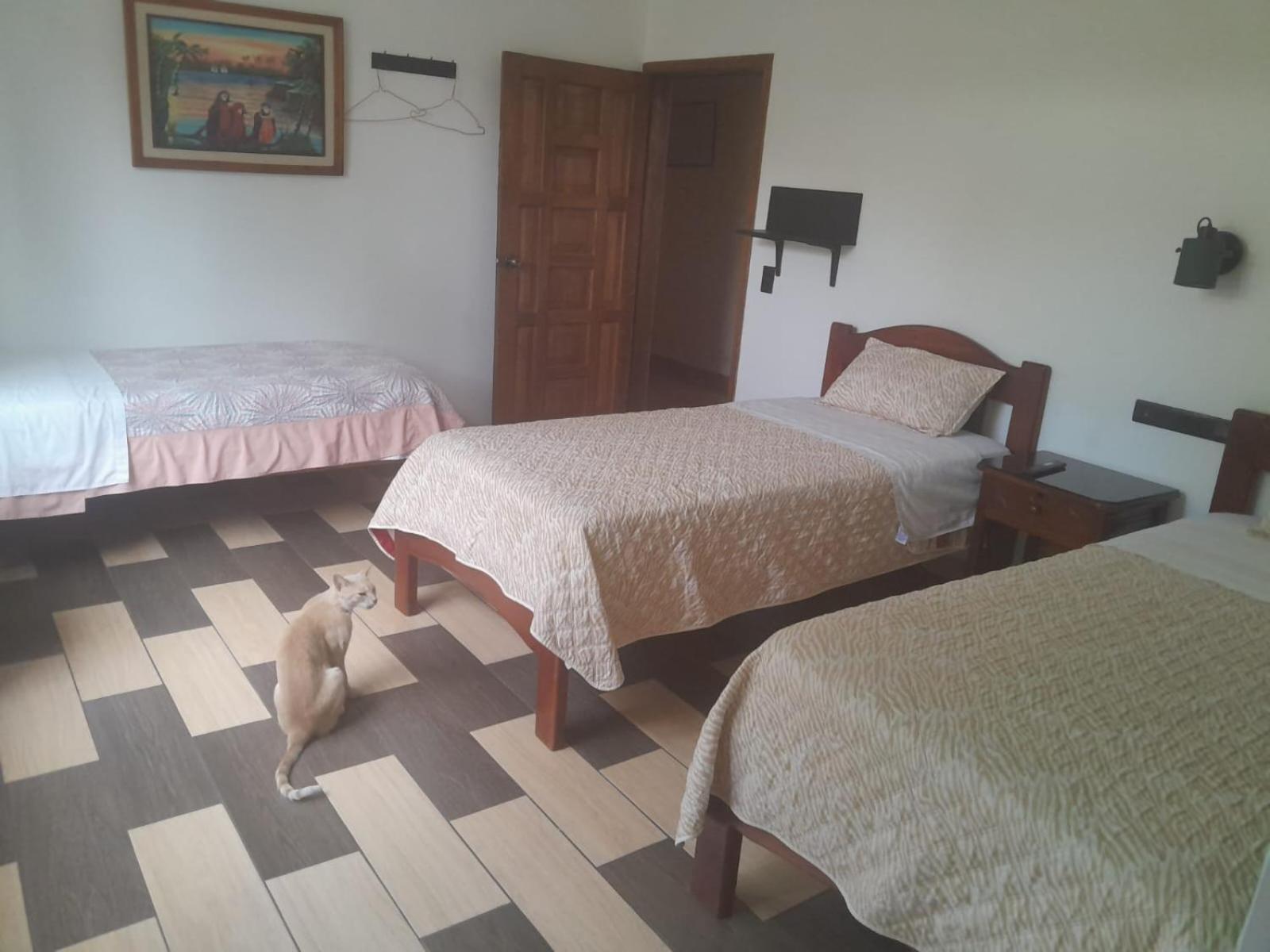 Hostal Limoncocha Tena Buitenkant foto