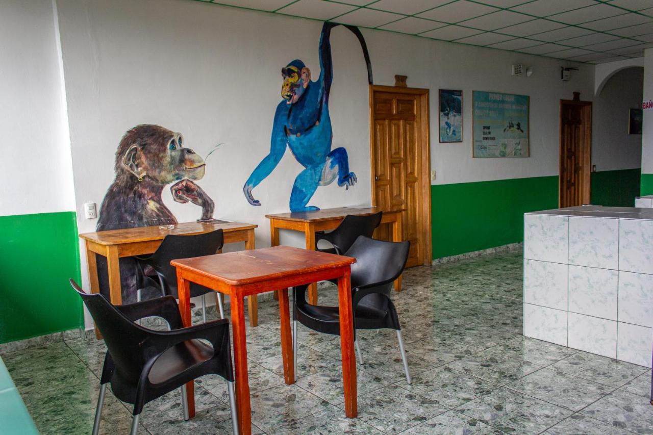 Hostal Limoncocha Tena Buitenkant foto