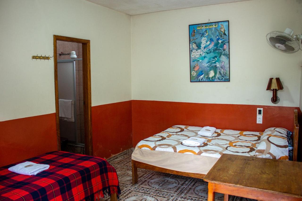 Hostal Limoncocha Tena Buitenkant foto